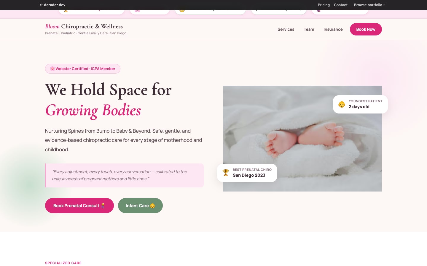 Chiropractors & Wellness — Prenatal & Pediatric design preview