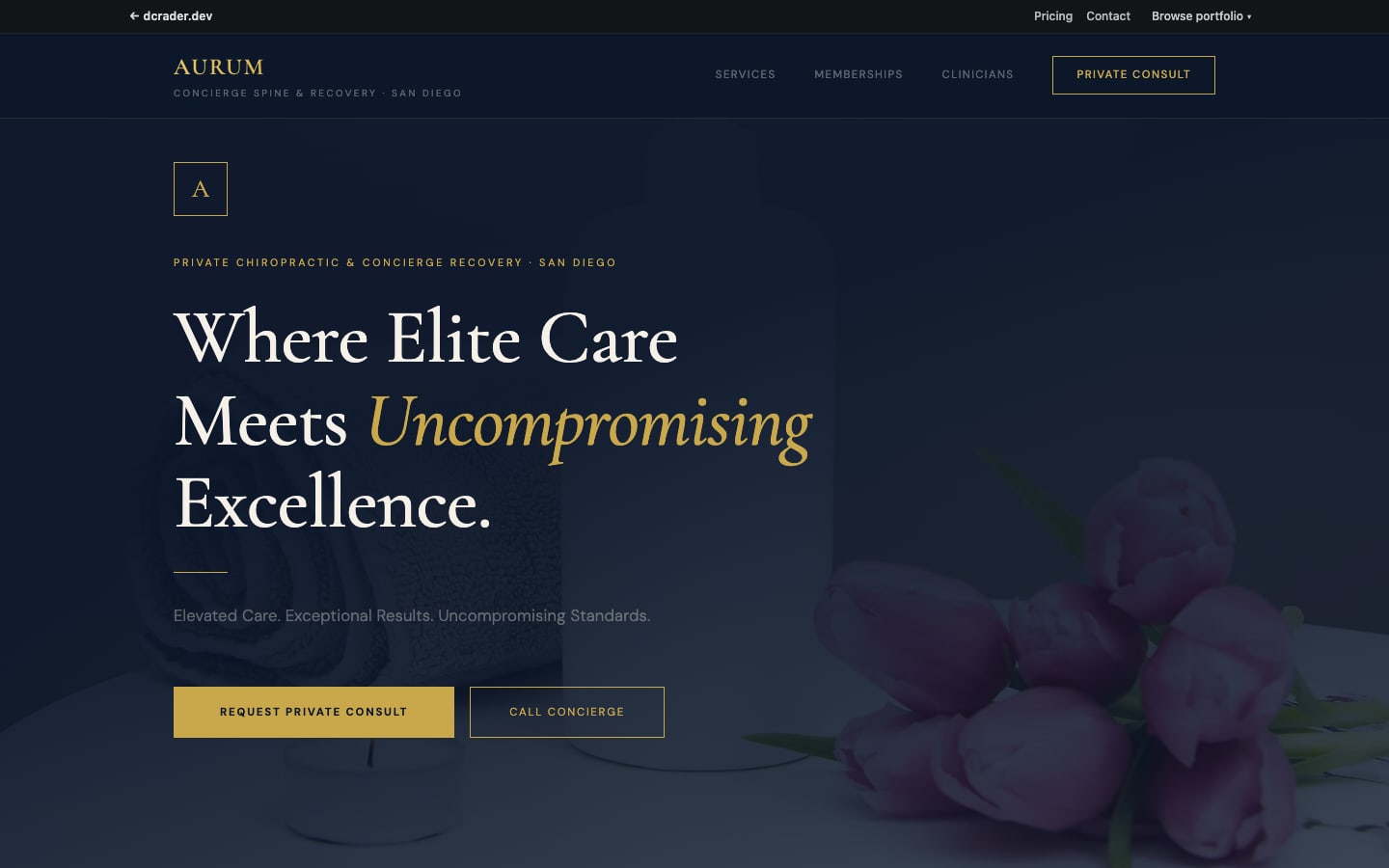 Chiropractors & Wellness — Luxury Recovery design preview