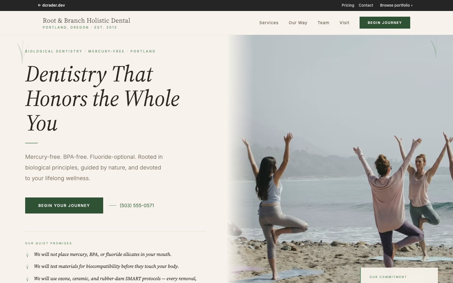 Dentists & Orthodontists — Holistic Wellness design preview
