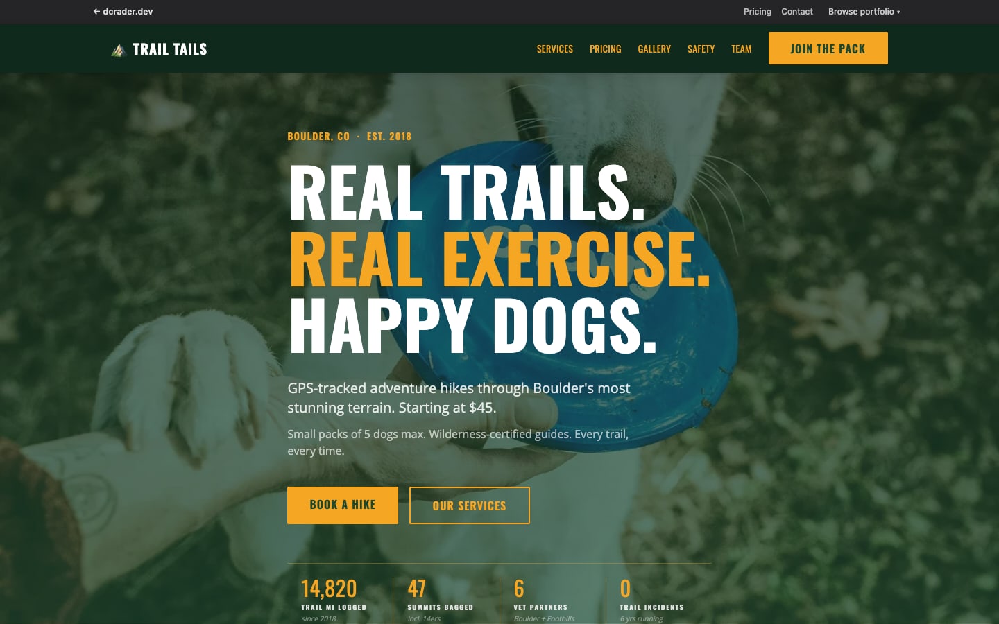 Pet Services — Active Outdoor design preview