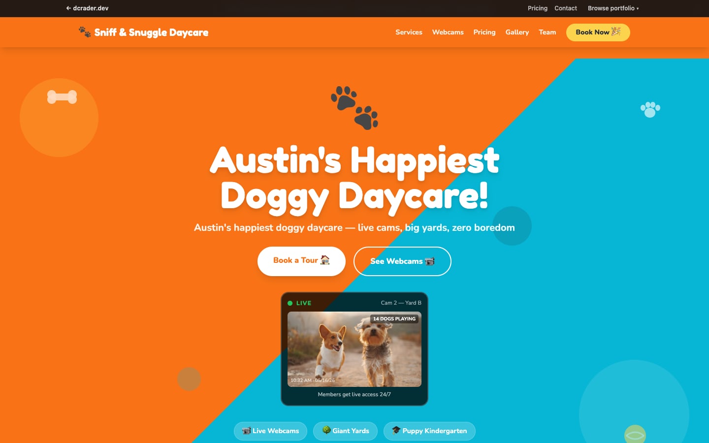 Pet Services — Fun & Bright design preview