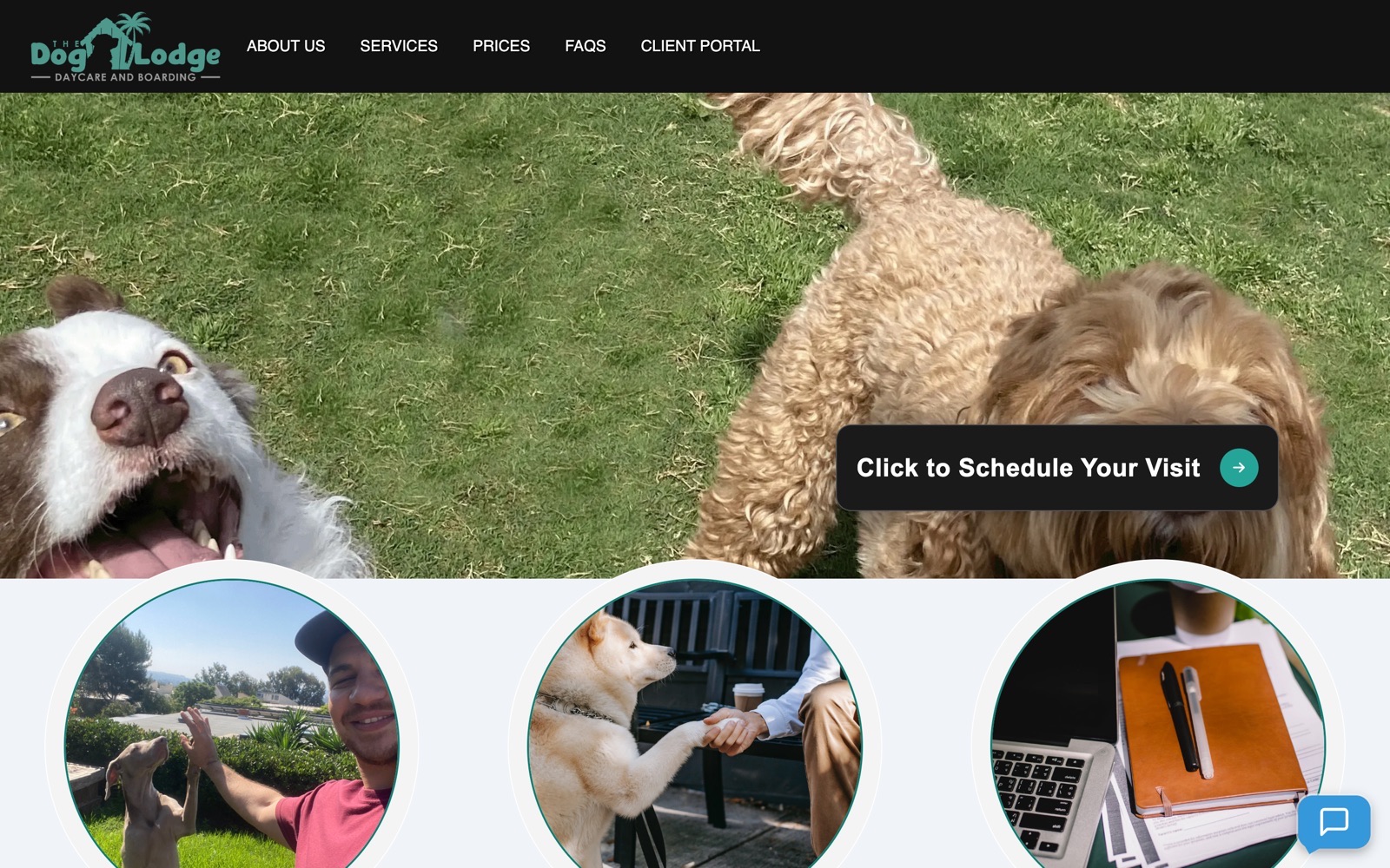 The Dog Lodge homepage with a hero image of two dogs in grass and a "Schedule Your Visit" call-to-action.