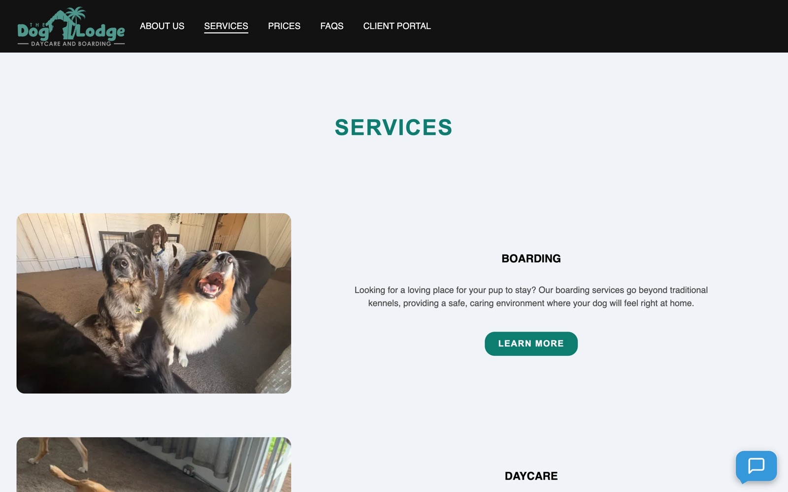 Services page showing boarding and daycare offerings with photography of dogs at the facility.