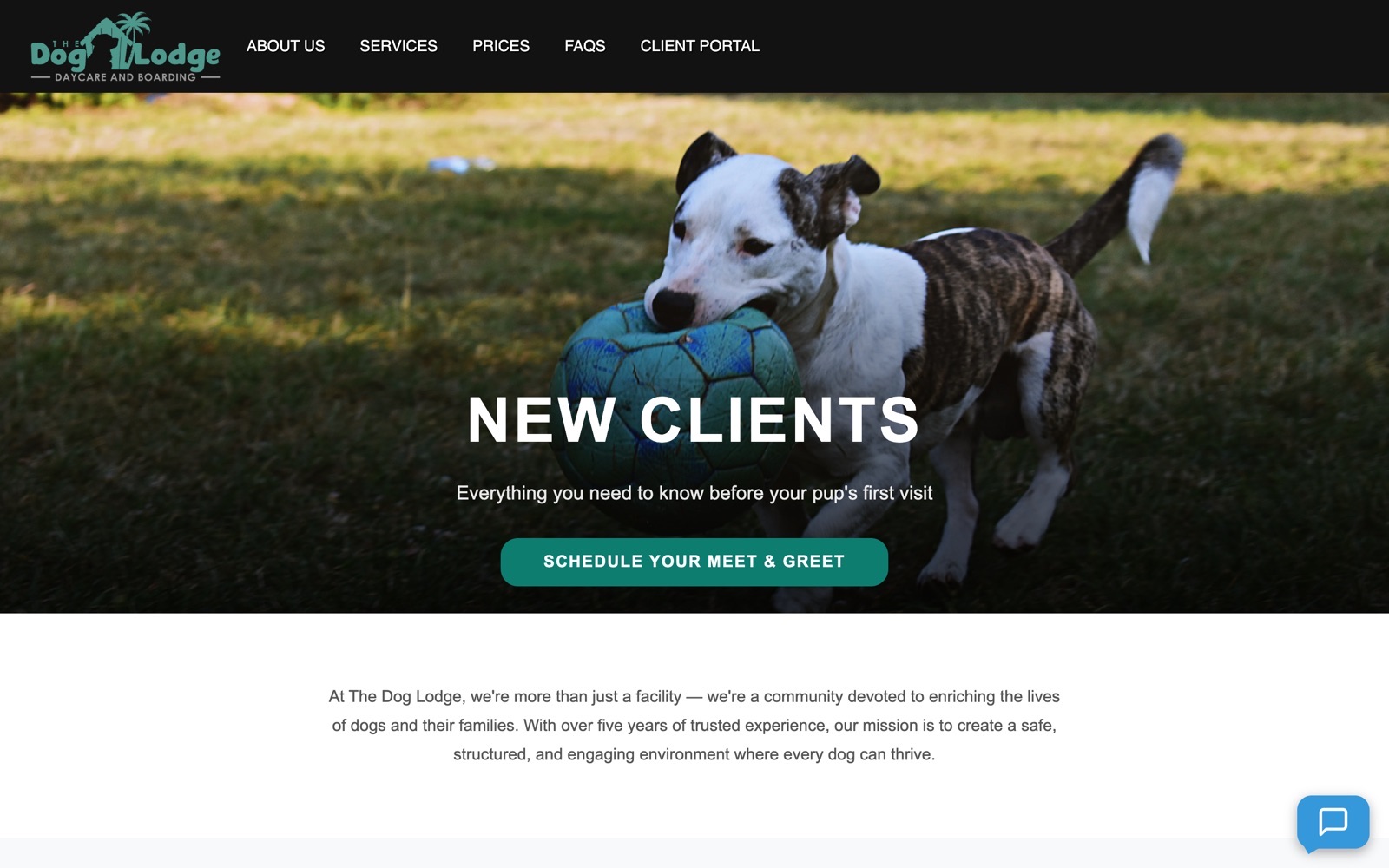 New clients onboarding page with intake form and vaccination upload.